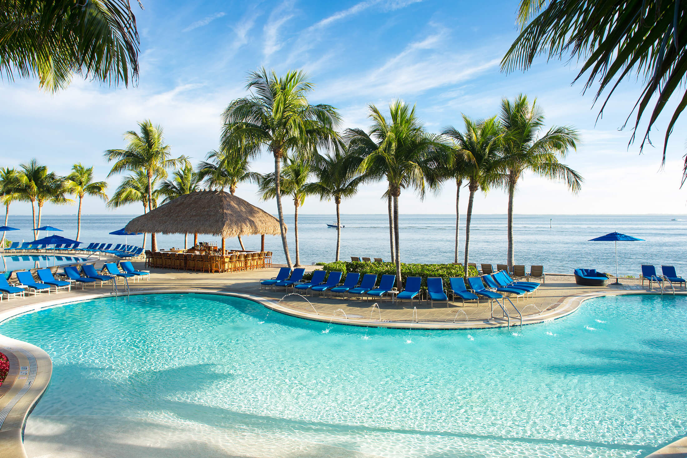 An ocean-side pool nestled between palm trees and beach chairs.