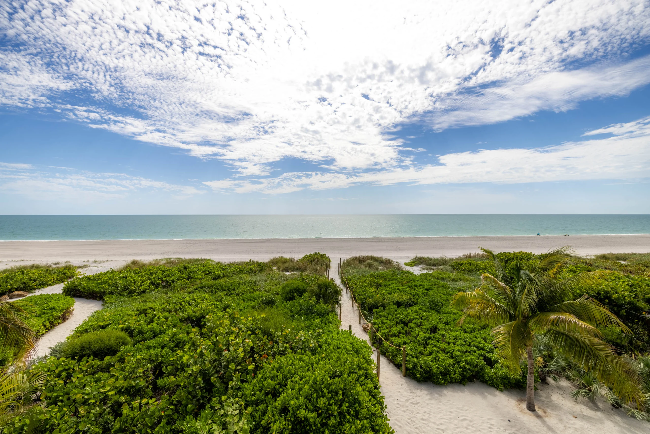 Pathways through greenery leading to the beach under a bright sky
