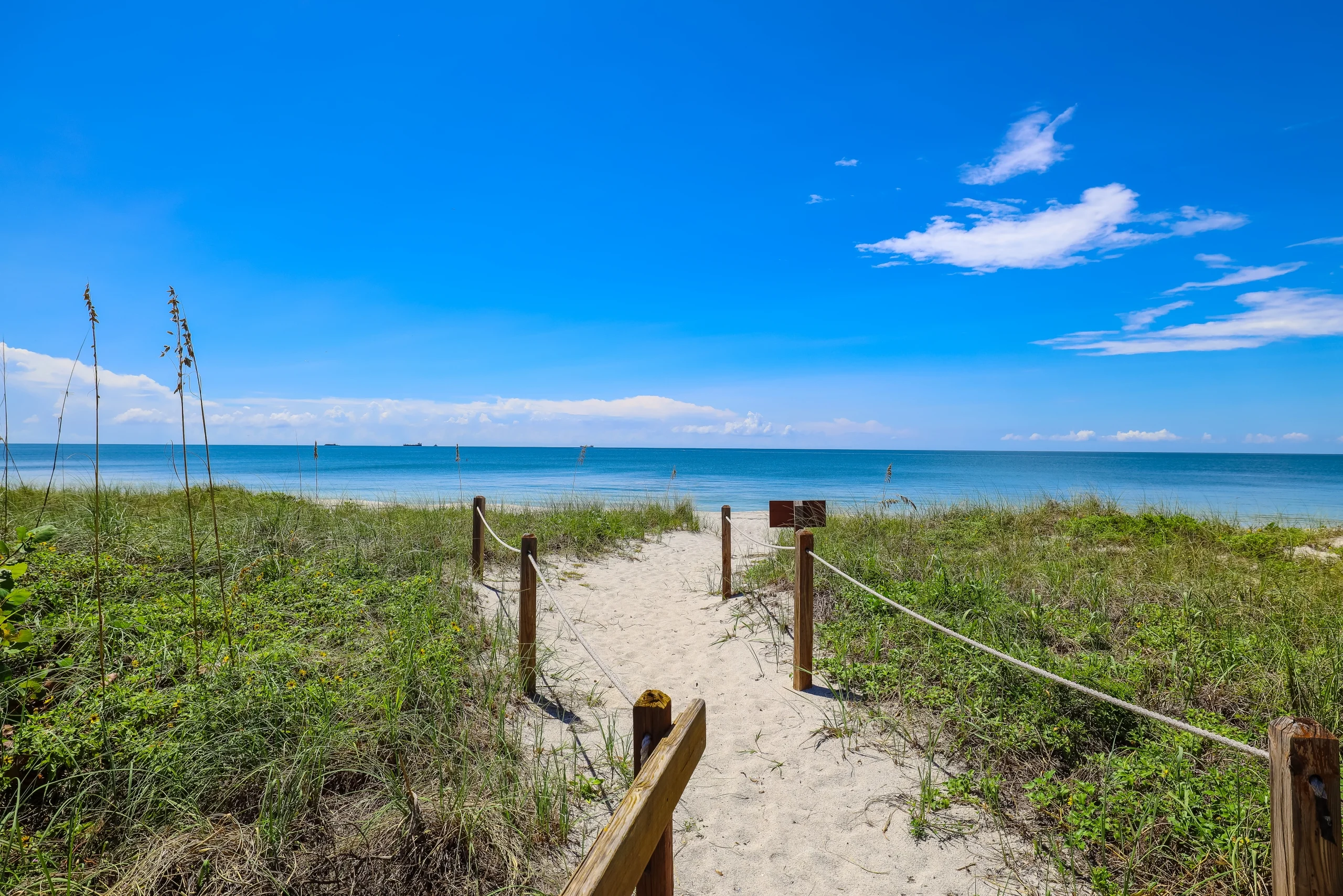 The path from the sand to the sea, and the greenery on the side