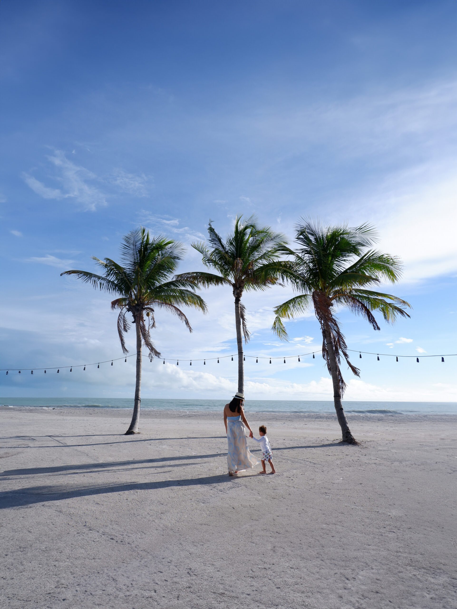 Three palm trees on the beach
