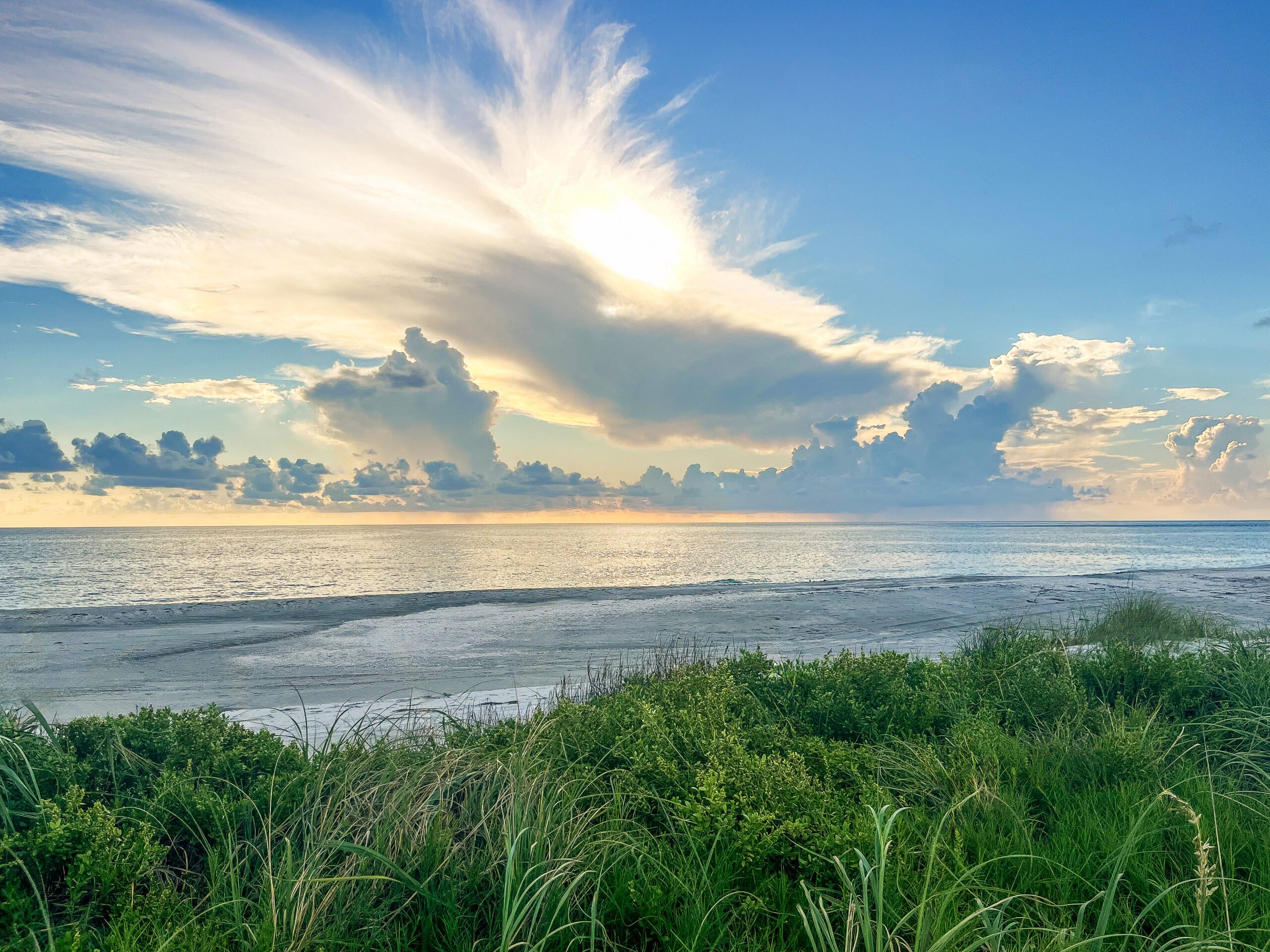Sunset over the ocean with greenery in the foreground