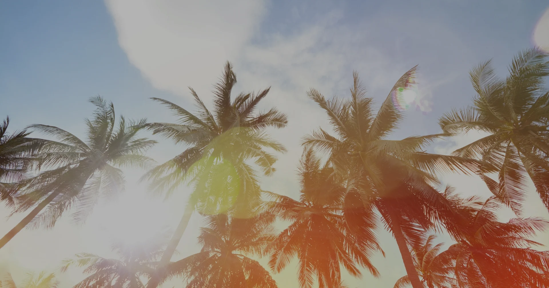 Sunlight shining through tall palm trees against a bright blue sky at South Seas resort.