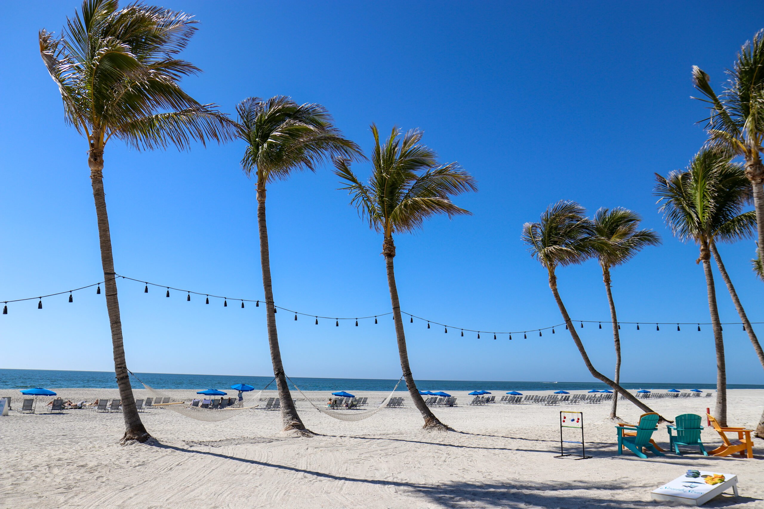 Sand, palm trees and the ocean